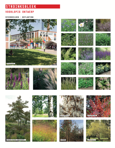 Sfeerbeelden met Beplanting